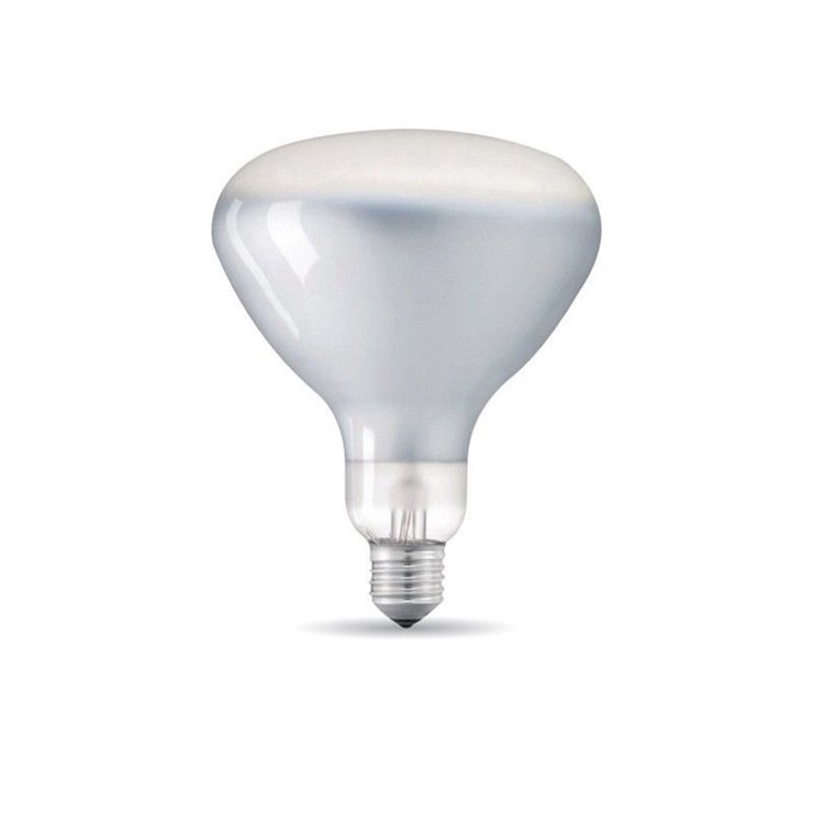 FLOS - Ampoule LED Givrée E27 Ø12,5cm 2700K 12W = 60W 660 Lumens Dimmable FLOS 